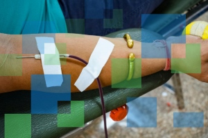 Diplomado de Hemoterapia